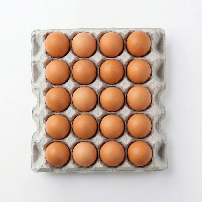 [난각번호1번] 자유방목 유정란 자연방사 계란, 1개, 20구