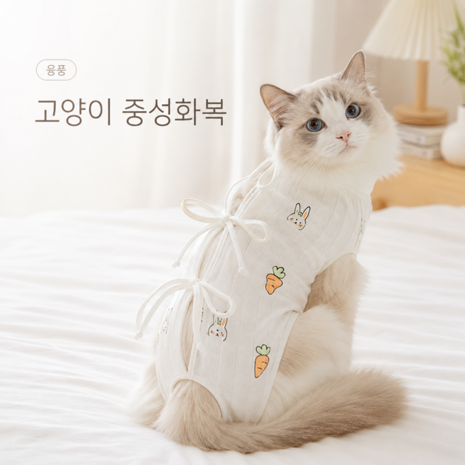융풍 토끼 당근 패턴 고양이 중성화복 수술 후 환묘복 부드러운 리본 케어웨어, 1개, 토끼&당근