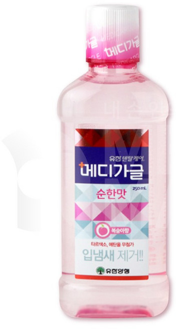 (메카몰)유한 메디가글250ML, 250ml, 1개