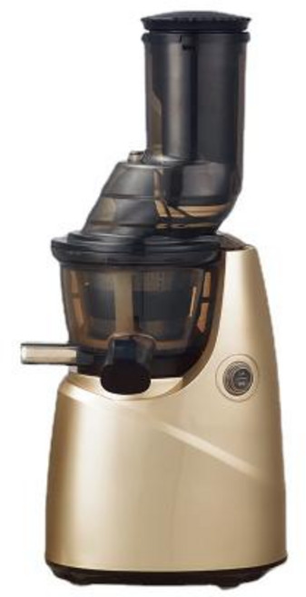 녹즙기 착즙기 느린 Juicer 나사 콜드 프레스 추출기 필터 무료 쉬운 세척 전기 주스 잔류 물 분리 과일 기계 가정용 110V, 16) Silver - EU-220V