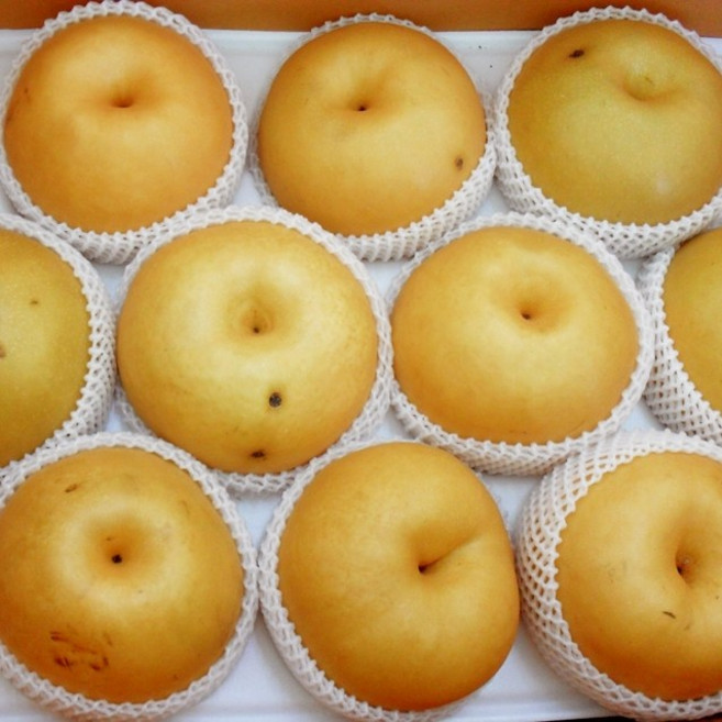 신고배 소과 가정용 신선과일, 1박스, 신고배 소과 5kg