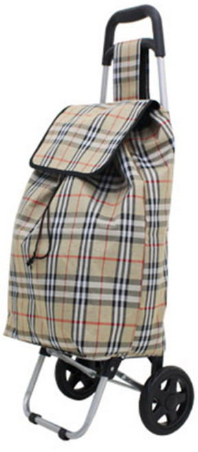 Simple n Easy 장보기 쇼핑카트 32L 체크무늬 고급형 2종, 베이지체크