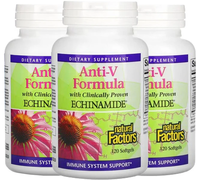 에키네시아 추출물 영양제 효능 면역력 높이는 방법 면역 증강제 감기 증상 감기 몸살 감기 빨리 낫는법 내츄럴 팩터스 안티V 120정 3통 6개월 - 쿠팡