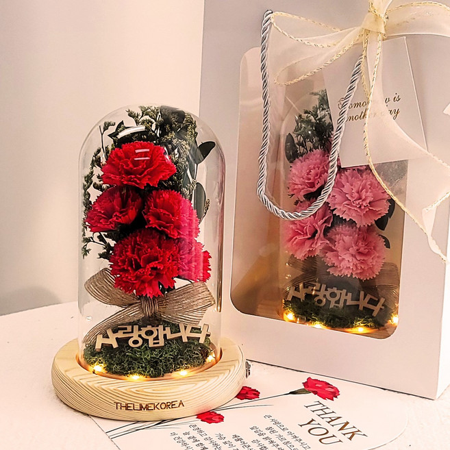 더라임코리아 투게더 카네이션 유리돔 무드등 어버이날 선물, 레드, 1개