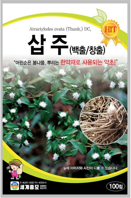 모칸도 세계종묘 민속채소씨앗 삽주 (백출/창출) 100립, 1개