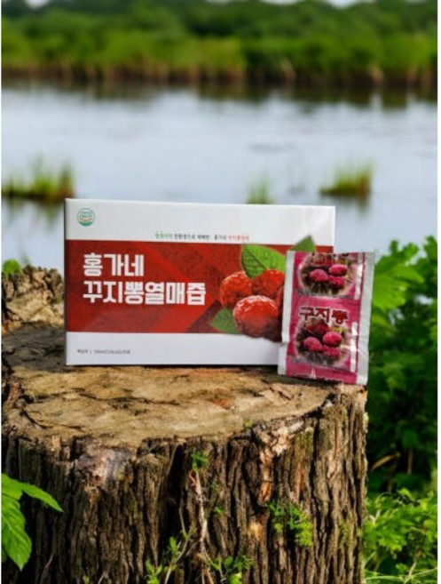 홍가네 꾸지뽕 열매즙 꾸지뽕즙 진액 [원산지:국산(충청남도 부여군)], 3kg, 1박스