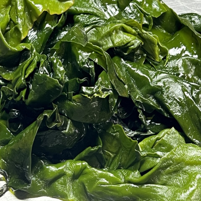 전라남도 완도산 프리미엄 씨포유 염장 쌈다시마, 1박스, 10kg