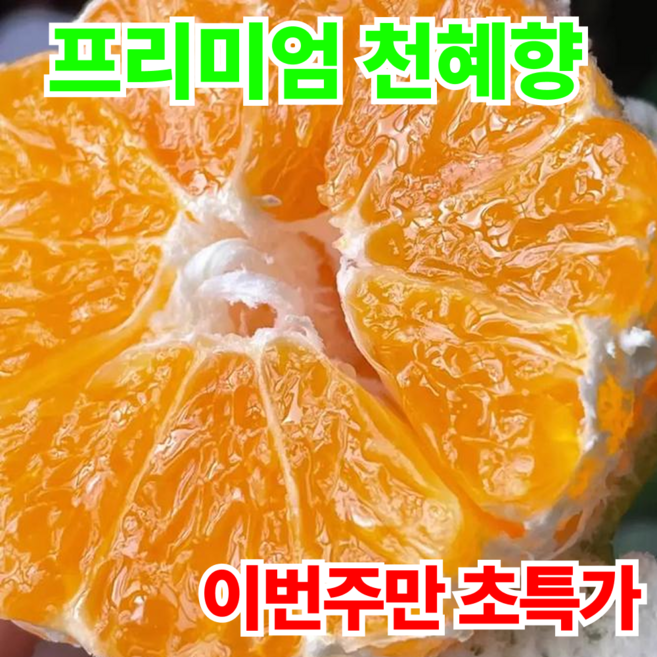 [프리미엄] 제주도 천혜향 최대17브릭스 10년농가직송, 1개, 10kg