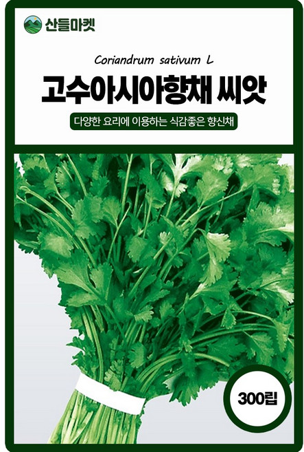 아시아종묘 아시아향채 고수씨앗 300립 고수씨 향신채 쌈채 종자, 1개