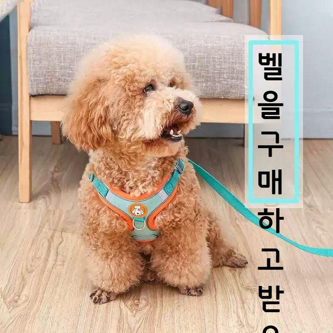 작은 개 조끼 유형 가슴 끈 개 견인 밧줄 테디 비숑 포메라니안 강아지 강아지 산책 개 밧줄 개 체인, 핑크(2m 반사형 원형 로프), 1개