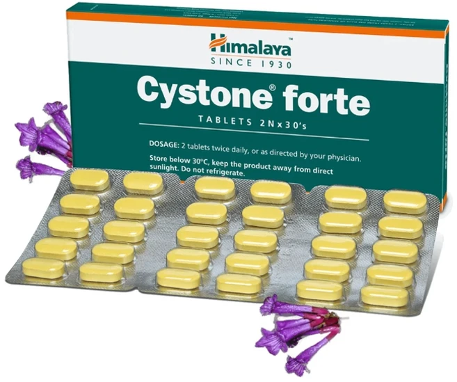 히말라야 사이스톤 포르테 Cystone Forte 180정 30정X6팩, 30정 - 쿠팡