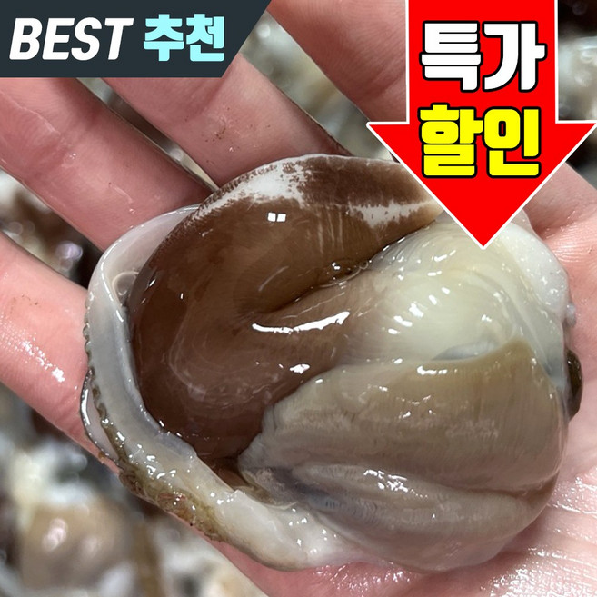 횟감용 손질 검정 새조개 여수 당일조업 생물 특품, 1개, 200g