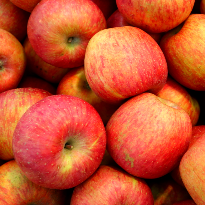 [타임특가] 고당도선별 경북 가정용 꿀 부사 사과, 1개, 5kg