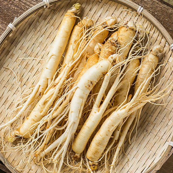 금산인삼 세척 삼계용 수삼 (대)375g 5년근 씻은삼 진공포장 인삼차 국산 국내산 수삼 난발삼, 1개