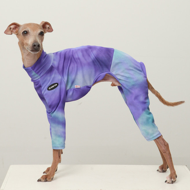도기스타 이탈리안그레이하운드옷 아이쥐옷 여름 쿨링 올인원, 1개, 퍼플