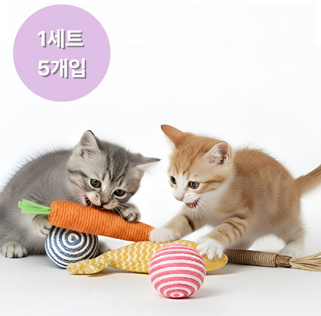 샤샤픽 이갈이 고양이 장난감, 1개, 5종