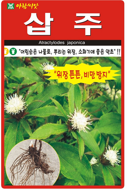 아람종묘 삽주 씨앗 100립 토종 삽주씨 약초 종자, 1개
