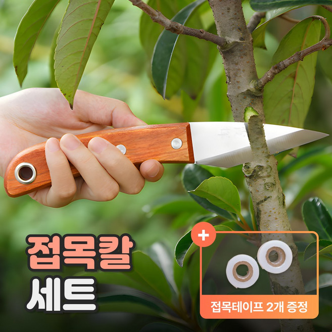 샌디르 나무 접목 칼 접목테이프 세트 과수 원예용 접목도구, 1세트