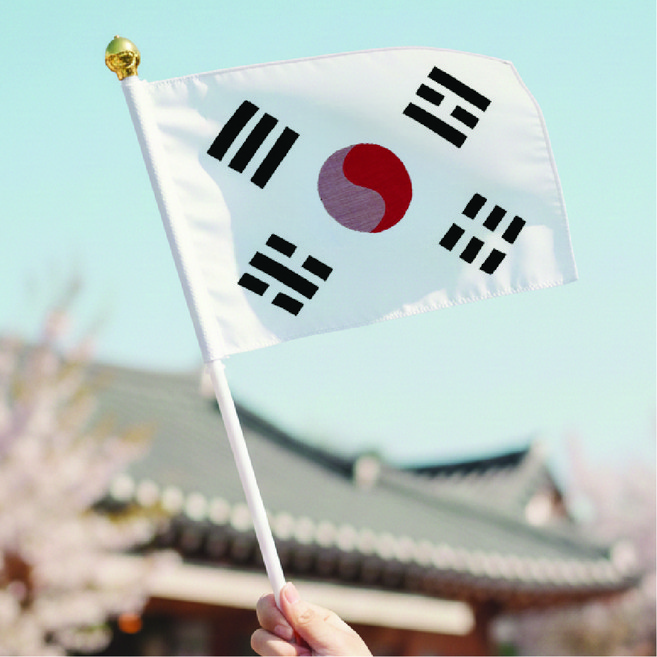 독립운동 수기 태극기, 대한민국 임시의정원 태극기, 1개