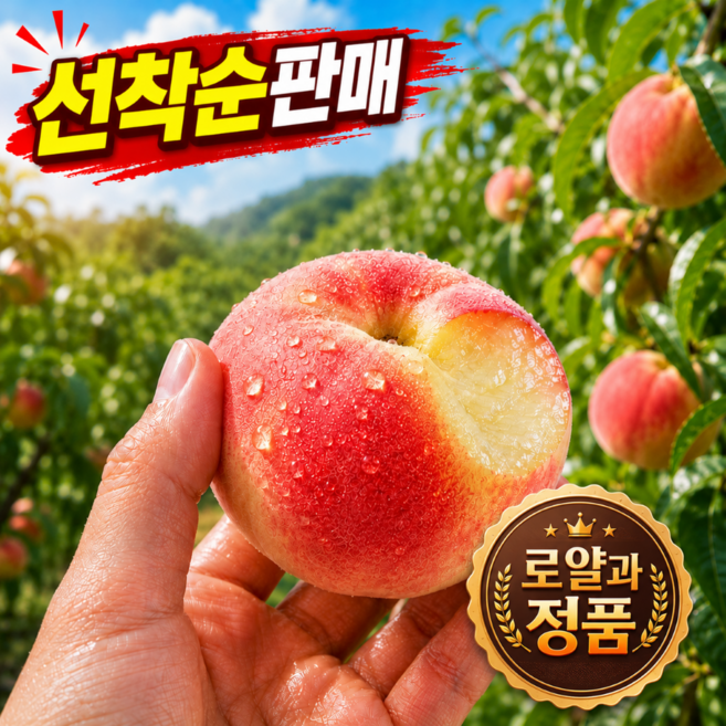 [선착순한정] 장인선별 프리미엄 대극천복숭아 반납작 딱딱이 복숭아, 1박스, 2kg 로얄(특품)