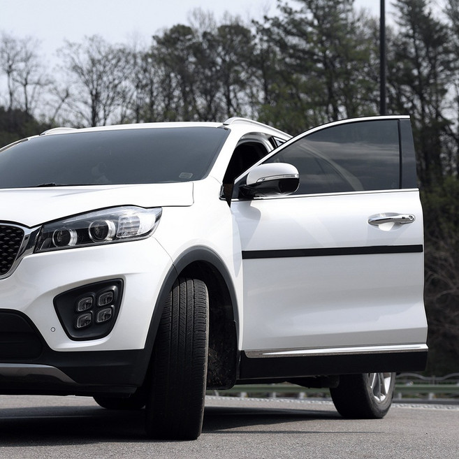 올뉴 더뉴 쏘렌토 호환 사이드 도어 가드 문콕 충격 방지 차 패드, 레터링 스티커 화이트 도어가드