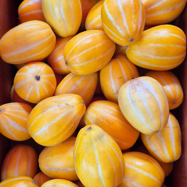 성주 꿀 참외 산지직송 당도선별 가정용, 10kg(랜덤), 1개