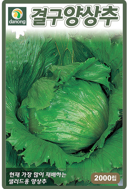 다농 결구양상추 씨앗 2000립 샐러드 양상추씨 종자, 5개