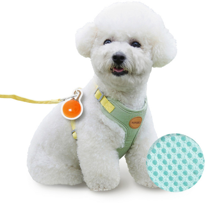 포포벨라 강아지 하네스 리드줄 야광펜던트세트, 그린+펜던트 오렌지, 1개