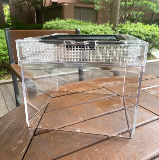 올씽 크레스티드 게코 사육장 도마뱀 사육장, 투명, 1개