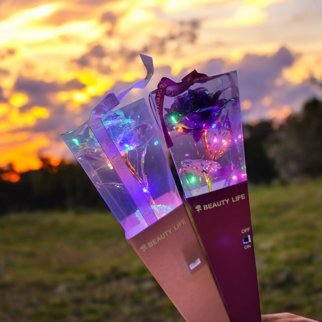 나성 LED 홀로그램 장미꽃 한송이 꽃선물 꽃다발, 랜덤, 1개