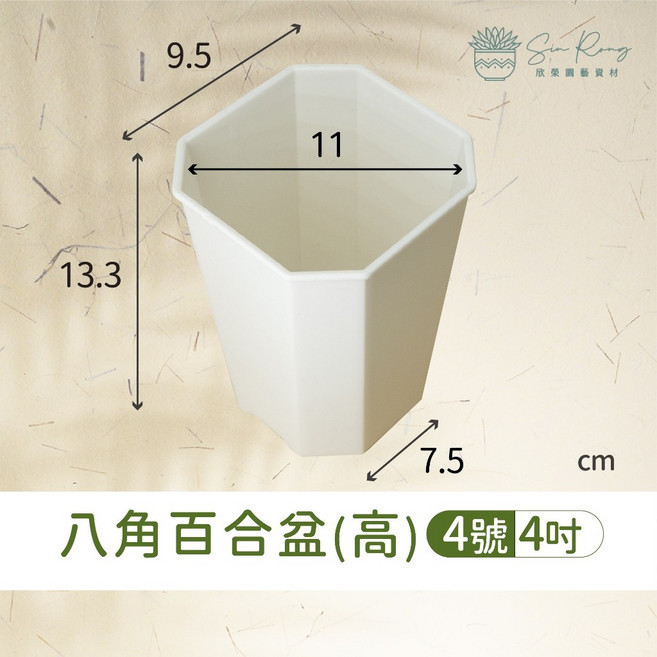 欣榮園藝 仙人掌多肉植物盆栽, 八角百合盆(高)4號【白色】, 1個