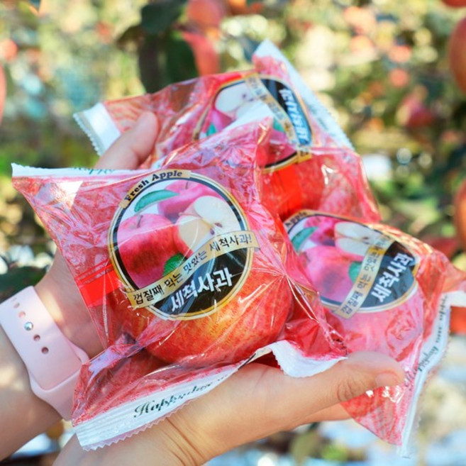 [오늘아침사과] 오늘아침 세척사과 5kg 22과, 1박스