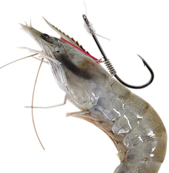 트리플 생새우바늘 생미끼 외수질 채비 새우바늘걸이 농어 민어 우럭 광어, 1개, 3개입