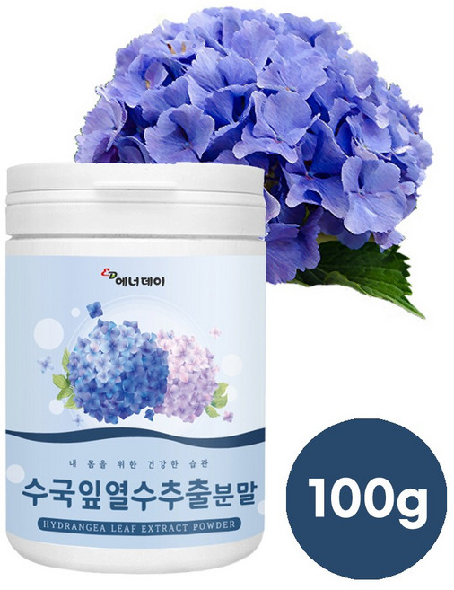 국산 수국잎 추출분말 가루 수국잎열수추출물 수국잎차 산수국 약재 고함량 하이란드제놀 안토시아닌 사포닌 게르마늄 필로둘신 썬버지놀 효능 대용량 추천, 100g, 1개