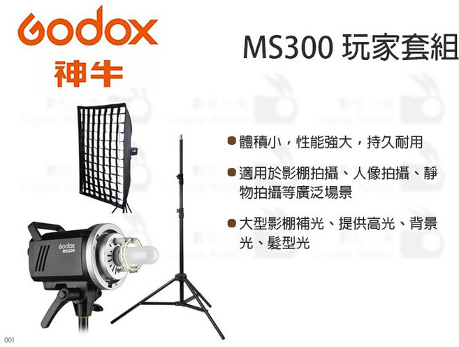 Godox 神牛 MS300 攝影棚燈柔光罩燈架組 體積小性能強大, 1個