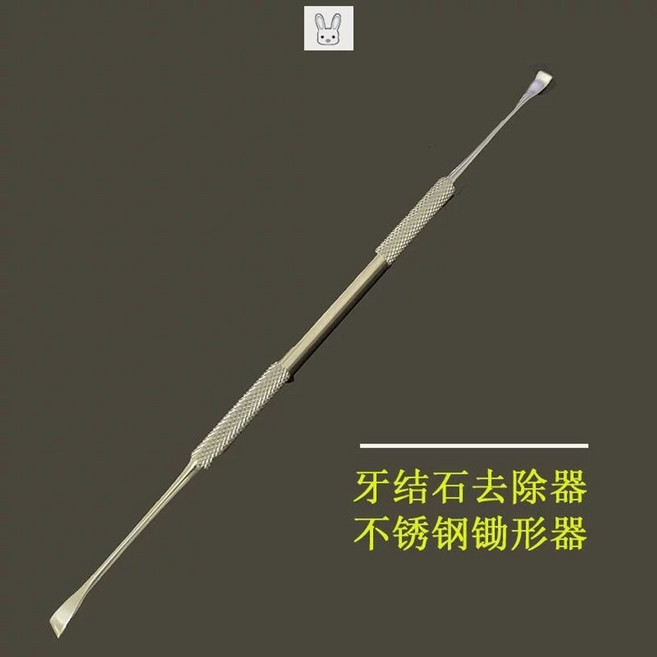 치과용 익스플로러 스켈러 제거 갈고리 핀셋 치석 탐침 픽아웃, 1개, B. 괭이 유형