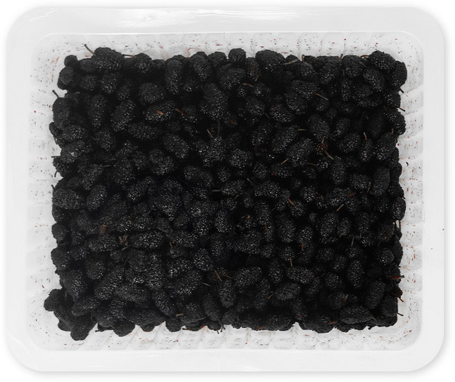 [프레시데이] 고창 오디 냉동 생과 프리미엄 특품, 1개