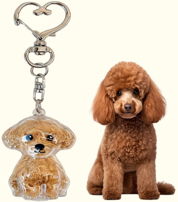 강아지 고양이 털 키링 보관 선물 캡슐 메모리얼 펫로스 반려동물, 뽀글멍