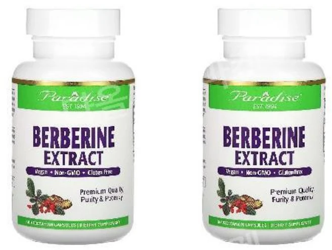 2개 파라다이스허브 베르베린 영양제 바베리 베르베리 Berberine 500mg 60정 - 쿠팡