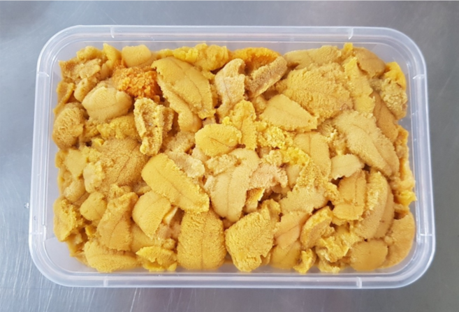 동해안 자연산 국내산 냉동 성게알 우니 500g, 1개