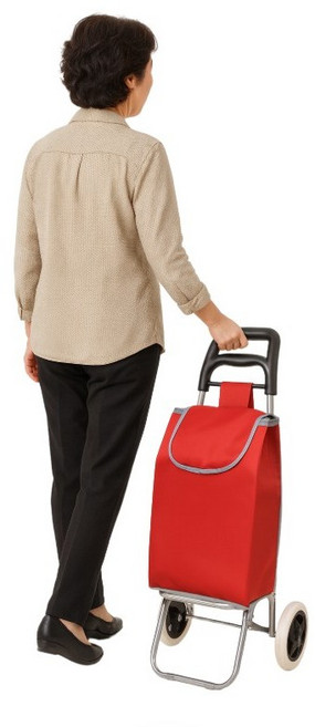 정리의미학 이동식 손잡이 쇼핑카트 바퀴달린 시장 장바구니, 소형(빨강), 1개