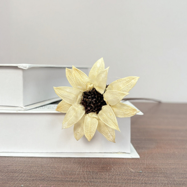 仿真乾花雪蓮花 組合乾花仿真花花藝術拍攝道具客廳裝飾花, 1件, 白色一支(不含花瓶):如圖所示