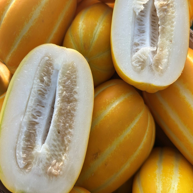 [한정특가] [타임세일] 당도선별 산지직송 성주 참외, 1박스, 3kg 가정용 (혼합과)