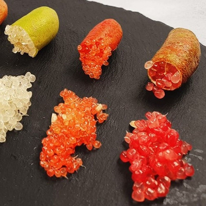 와인색 핑거라임 결실주3년/자가수정 접목묘/캐비어라임 /시트러스