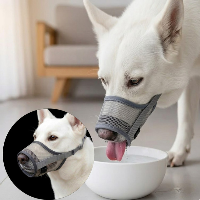 아늬랑 편안한 중형견 대형견 메쉬 통풍 입마개, 1개, 그레이(L)