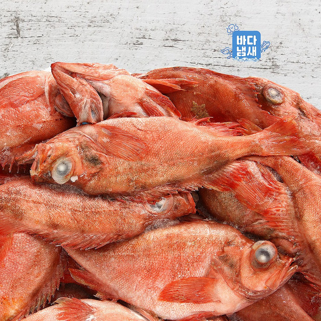 적어/장문볼락 300/500 11kg (28미 전후) 냉동수입 붉은볼락 빨간고기, 1