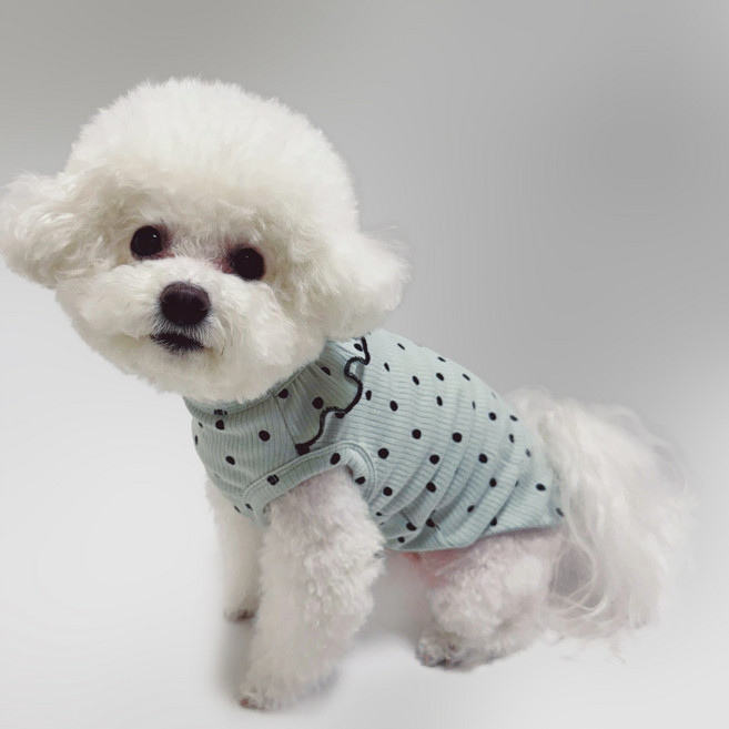 스타일독 슈가 도트 골지 프릴 강아지옷, 1개, 민트