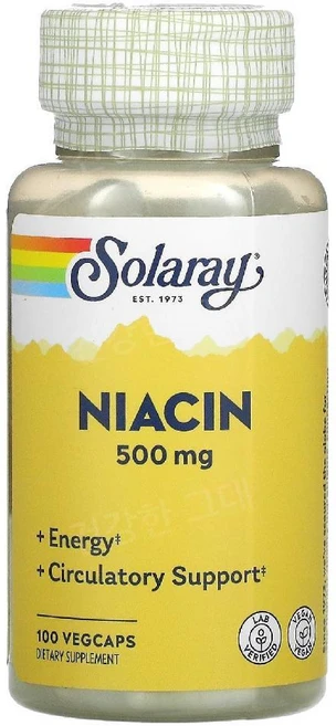 [2세트] 솔라레이 나이아신 500mg 식물성 100 캡슐 비타민 B3 니아신 B, 2개, 100정 - 쿠팡