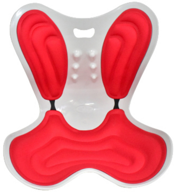 굿프렌드 신수지 리본체어 바른자세 좌식의자 등받이 의자 스마트형 GOOD-C2(단품&세트), 세트1. 블랙3개