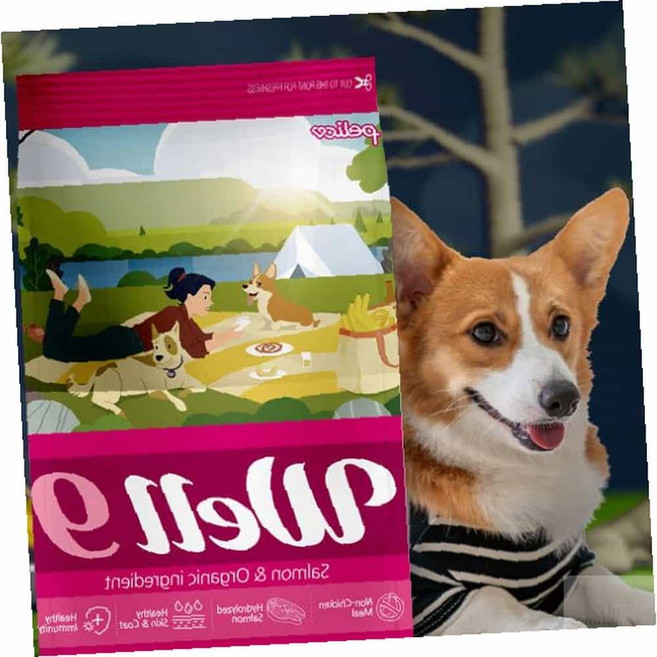 온지니엘 독 웰나인S 연어1kg 반려견사료